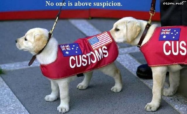 No One Is Above Suspicion